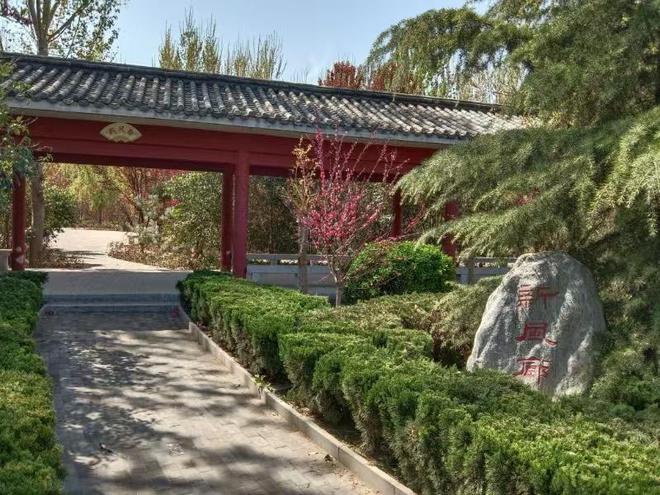 ：人居环境整治助力乡村振兴麻将胡了2试玩临漳县西申村(图4)